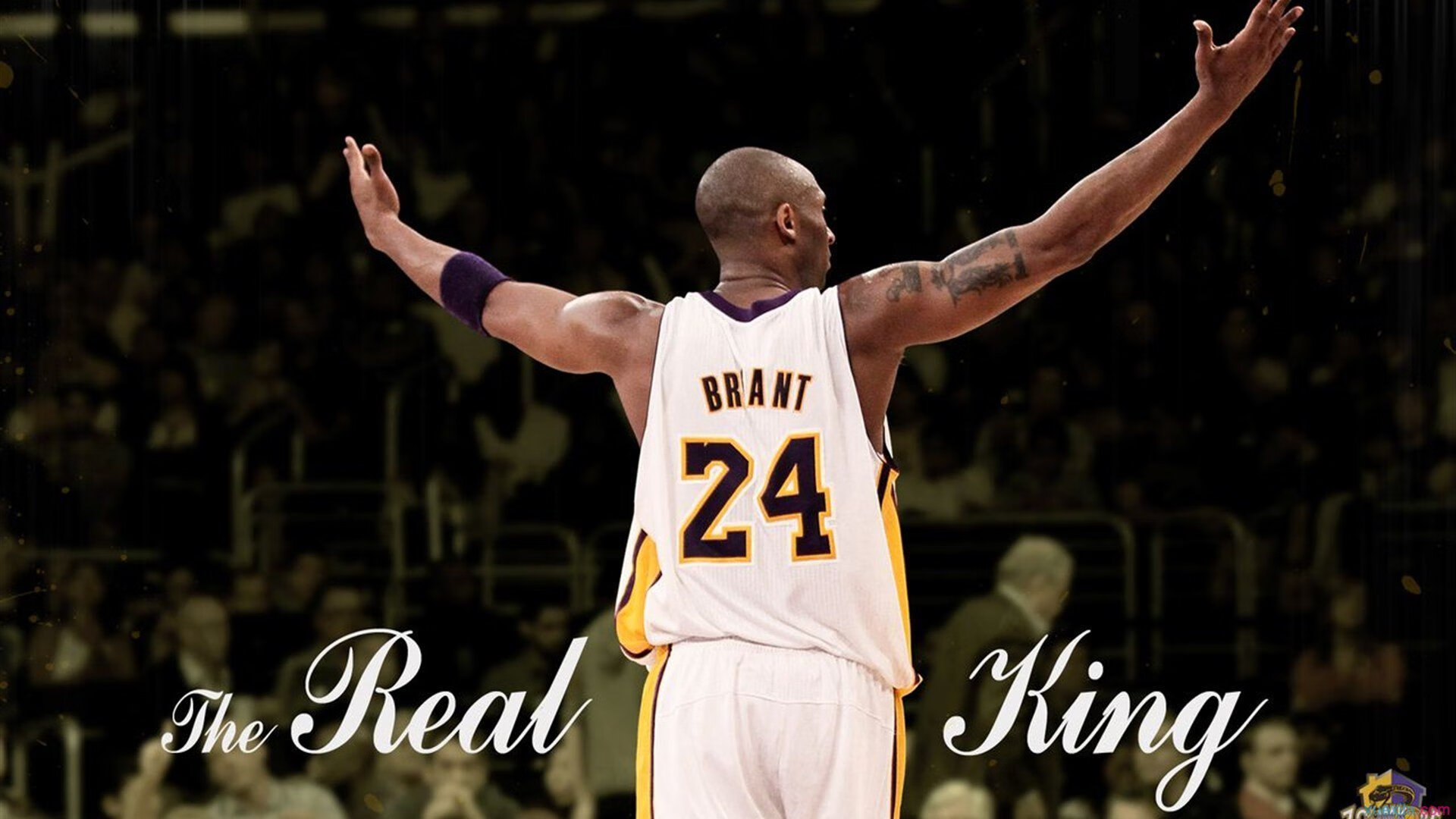 皇马新星表现出色，球队未来充满希望